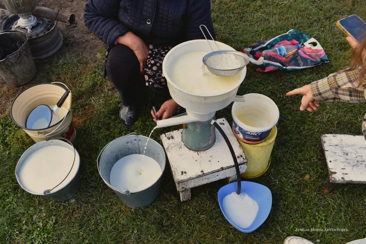 Stutenmilch – Zubereitung von Kumiss